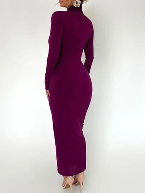 Bodycon Turtle Neck Maxi Dress