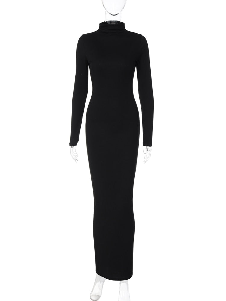 Maria Bodycon Maxi Turtle Neck